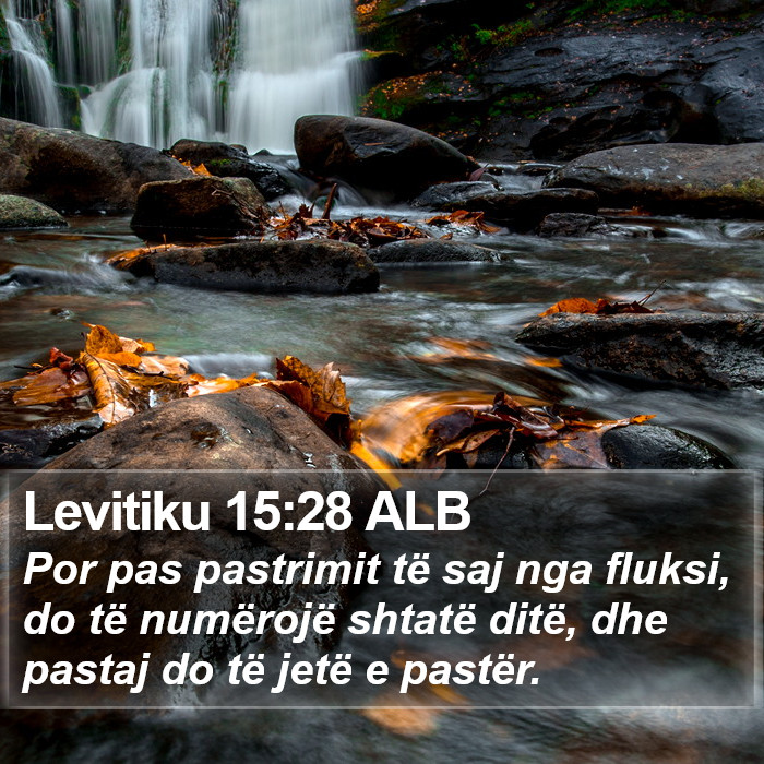 Levitiku 15:28 ALB Bible Study