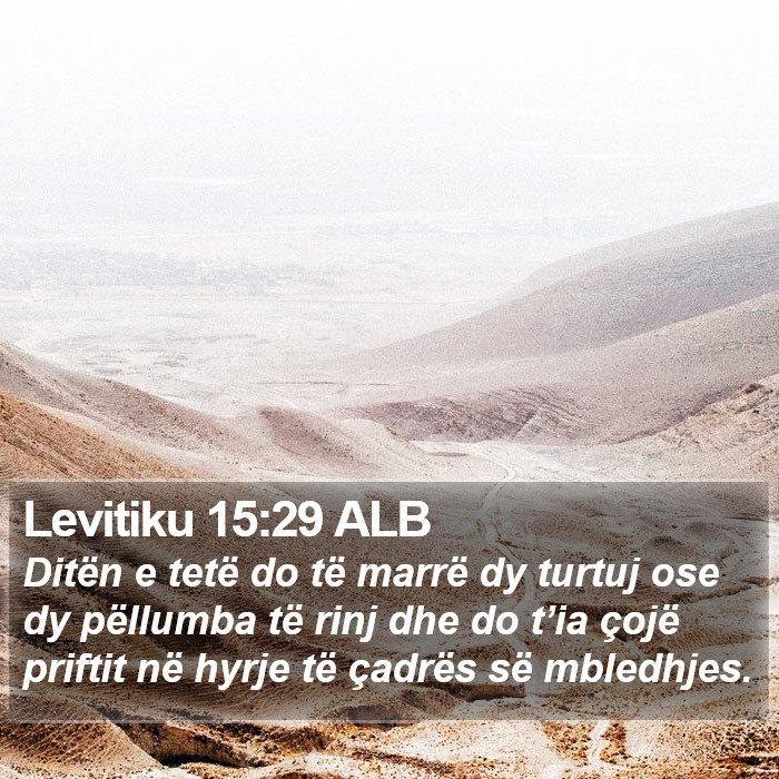 Levitiku 15:29 ALB Bible Study