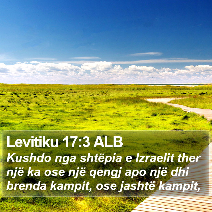 Levitiku 17:3 ALB Bible Study