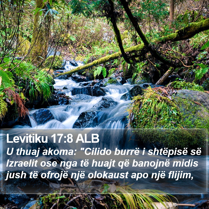 Levitiku 17:8 ALB Bible Study