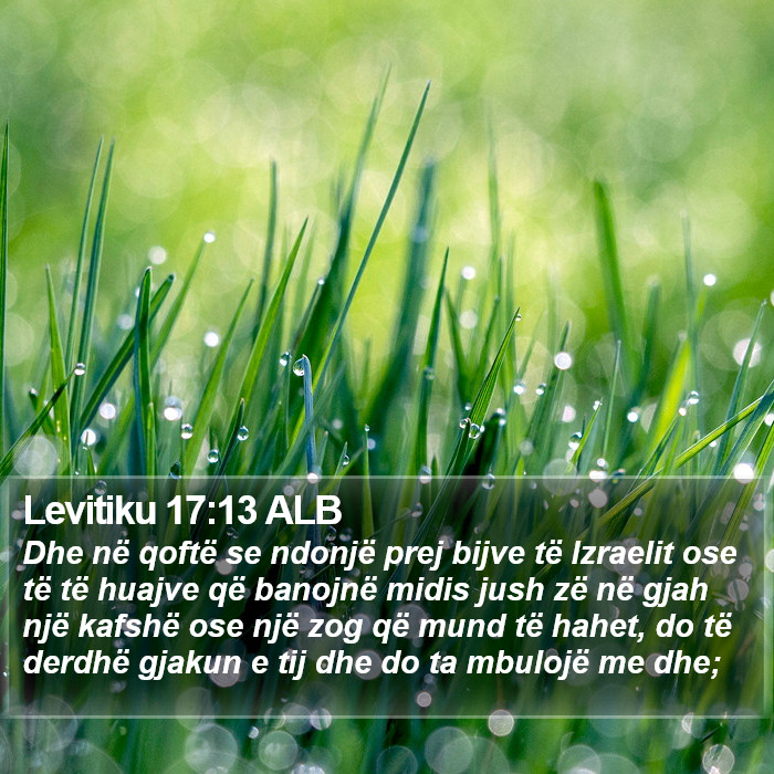 Levitiku 17:13 ALB Bible Study