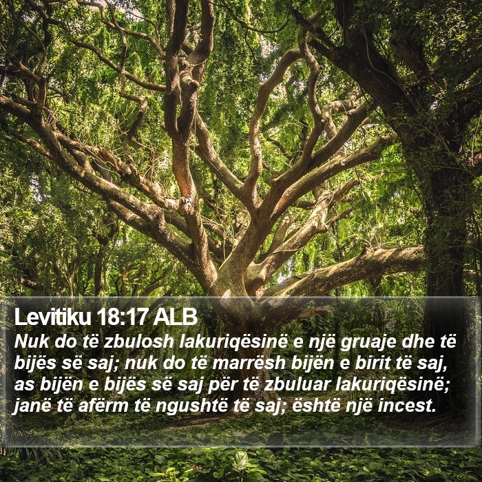 Levitiku 18:17 ALB Bible Study