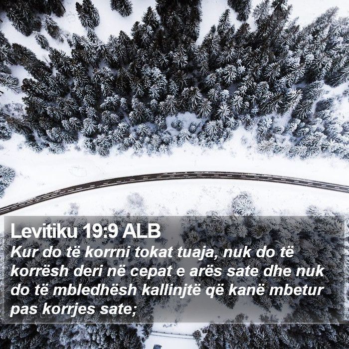 Levitiku 19:9 ALB Bible Study