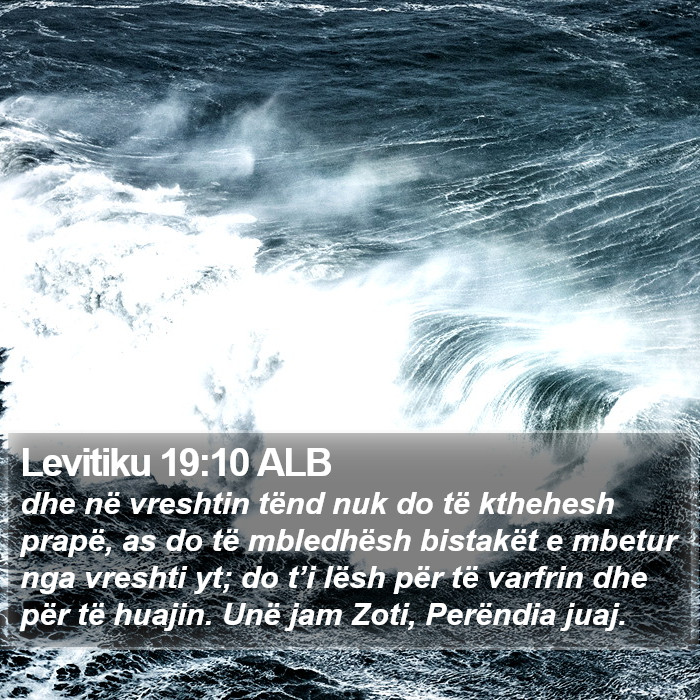 Levitiku 19:10 ALB Bible Study