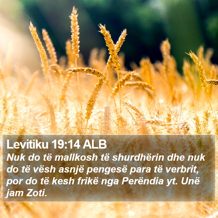 Levitiku 19:14 ALB Bible Study