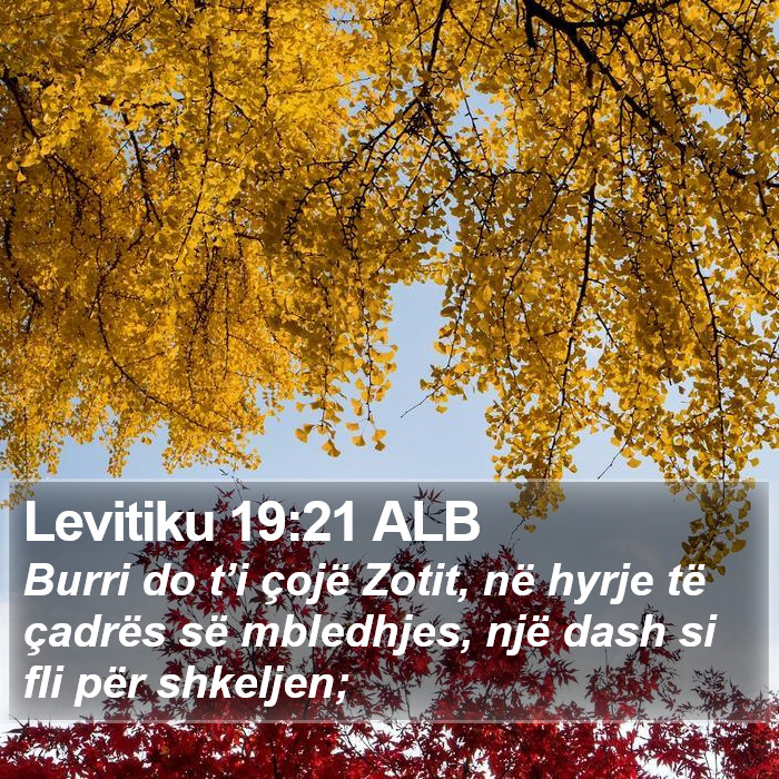 Levitiku 19:21 ALB Bible Study