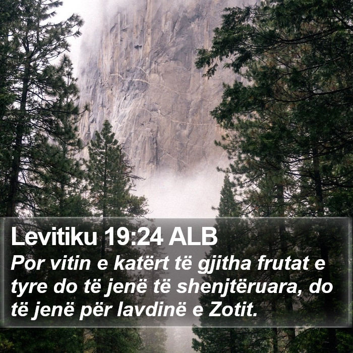 Levitiku 19:24 ALB Bible Study