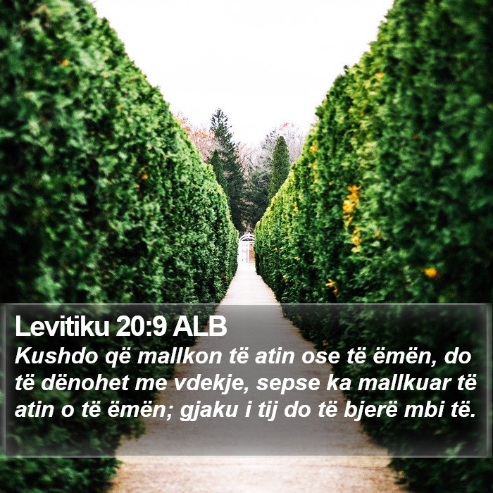 Levitiku 20:9 ALB Bible Study