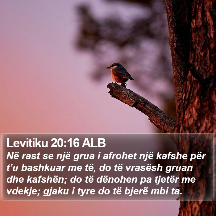 Levitiku 20:16 ALB Bible Study