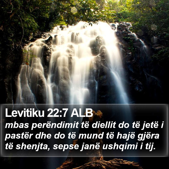 Levitiku 22:7 ALB Bible Study