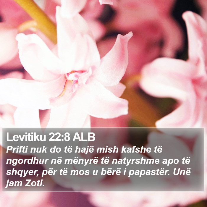 Levitiku 22:8 ALB Bible Study