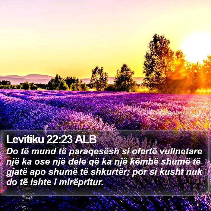 Levitiku 22:23 ALB Bible Study