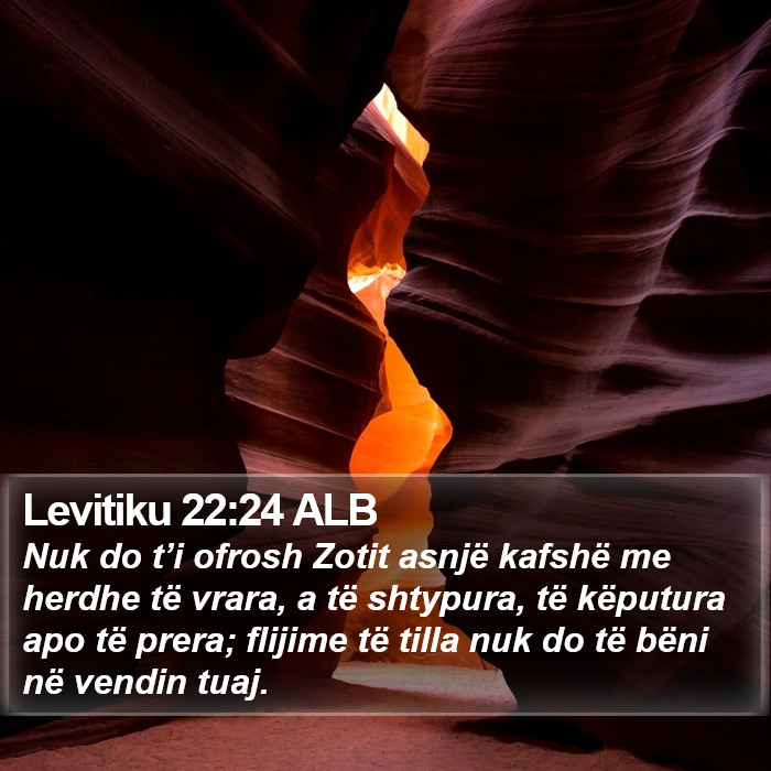 Levitiku 22:24 ALB Bible Study