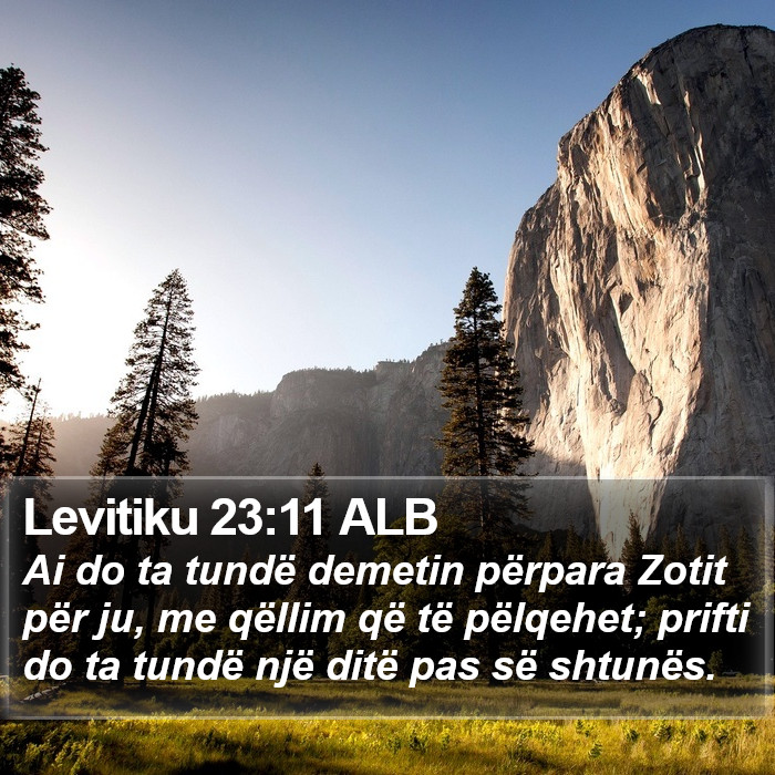 Levitiku 23:11 ALB Bible Study