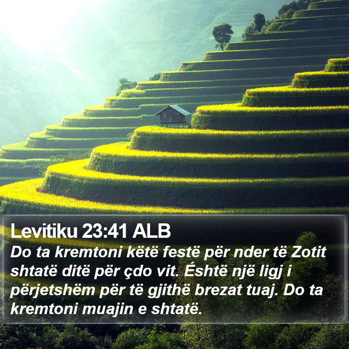 Levitiku 23:41 ALB Bible Study