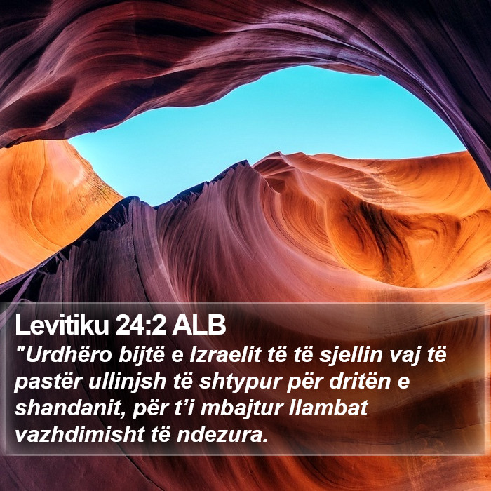 Levitiku 24:2 ALB Bible Study