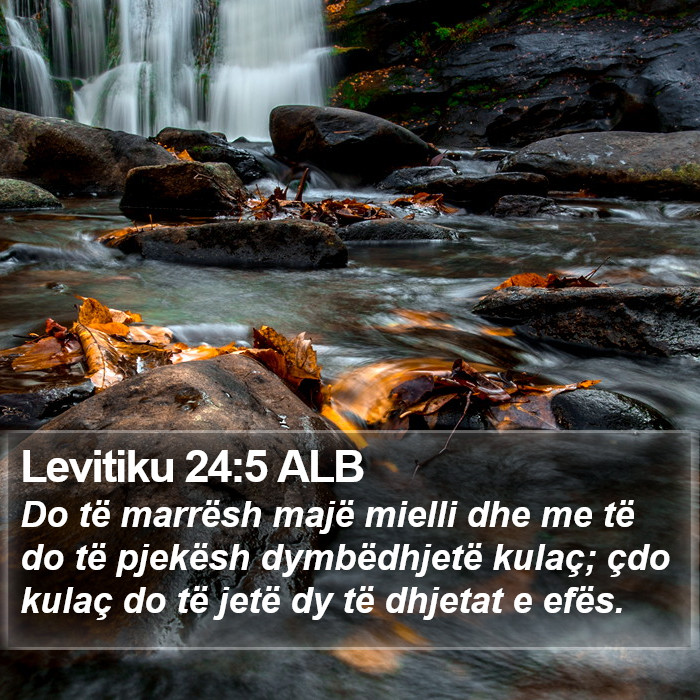 Levitiku 24:5 ALB Bible Study