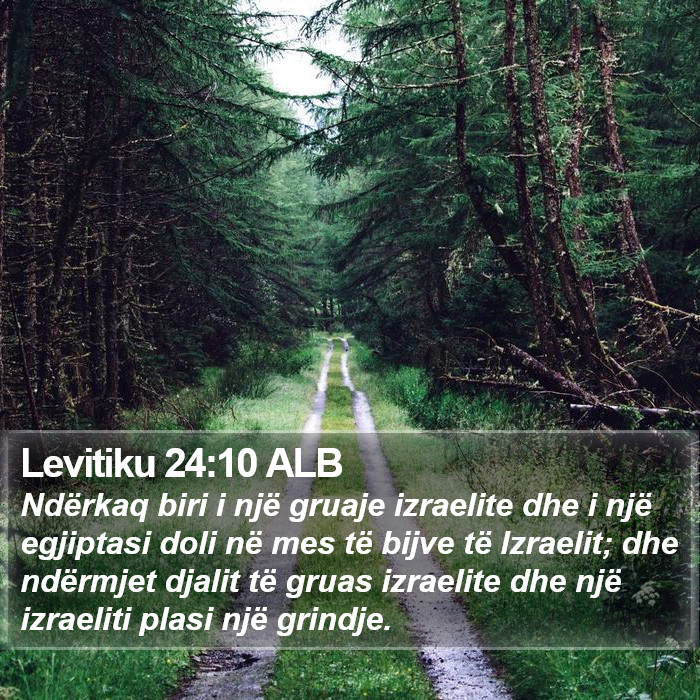 Levitiku 24:10 ALB Bible Study