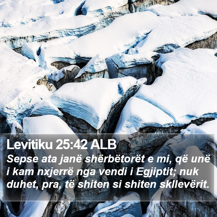 Levitiku 25:42 ALB Bible Study