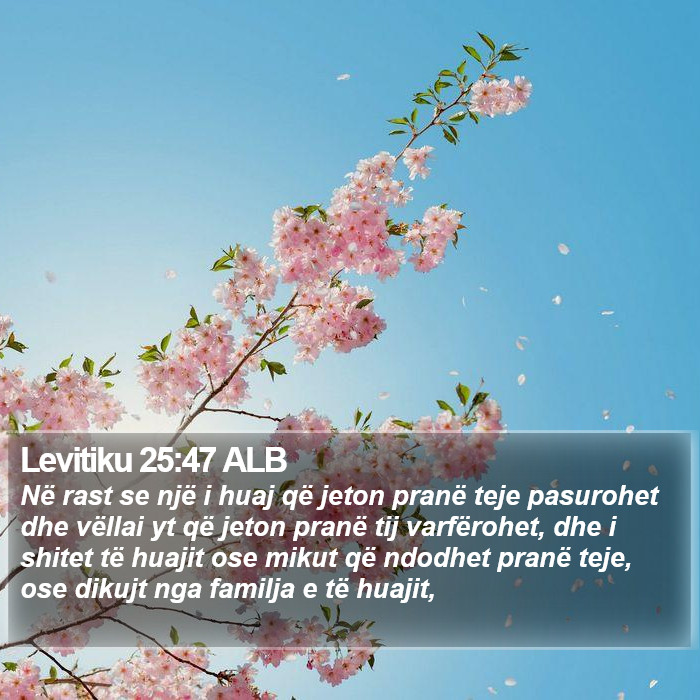 Levitiku 25:47 ALB Bible Study