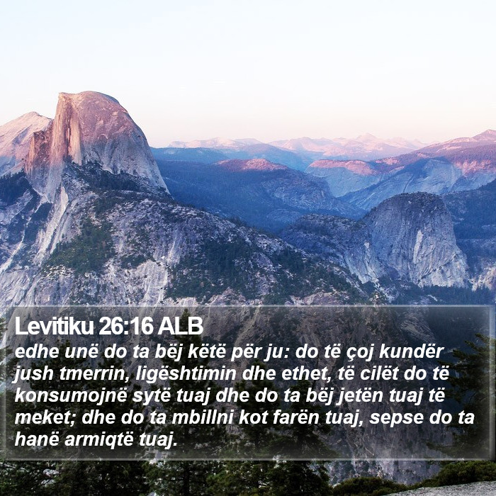 Levitiku 26:16 ALB Bible Study