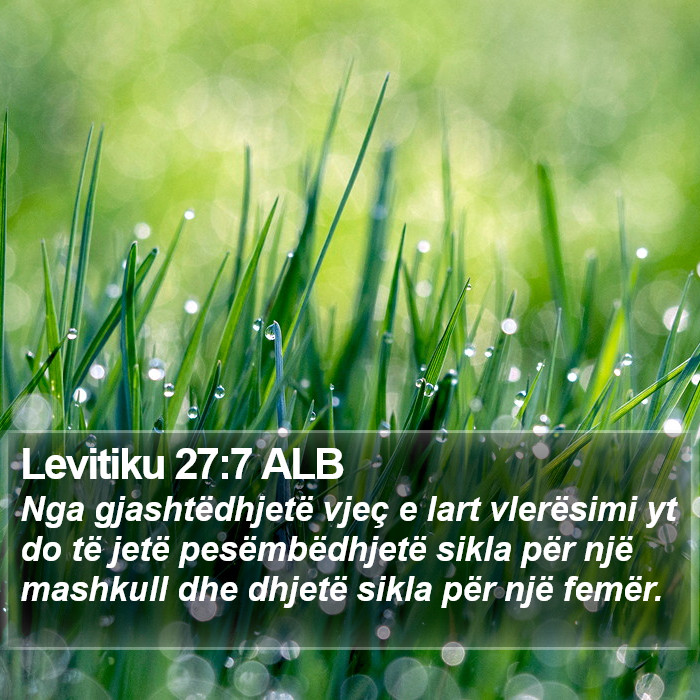 Levitiku 27:7 ALB Bible Study