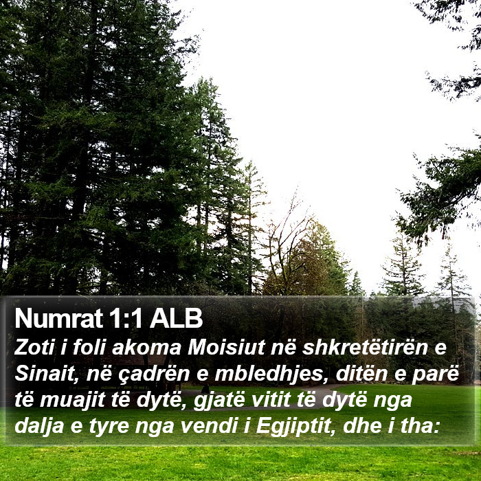 Numrat 1:1 ALB Bible Study