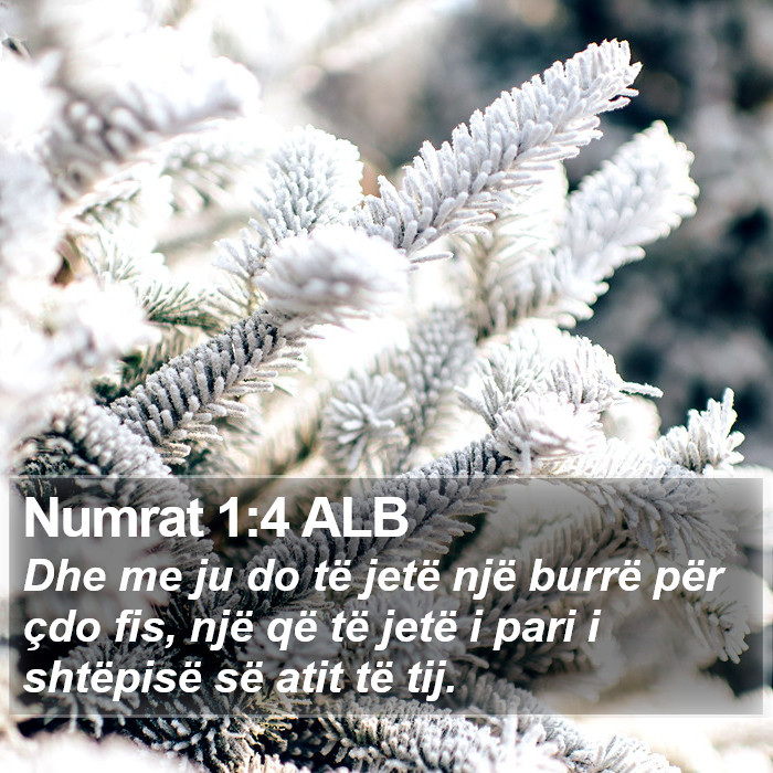 Numrat 1:4 ALB Bible Study