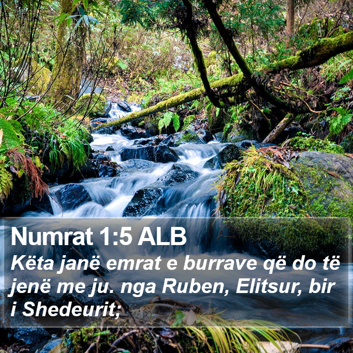 Numrat 1:5 ALB Bible Study