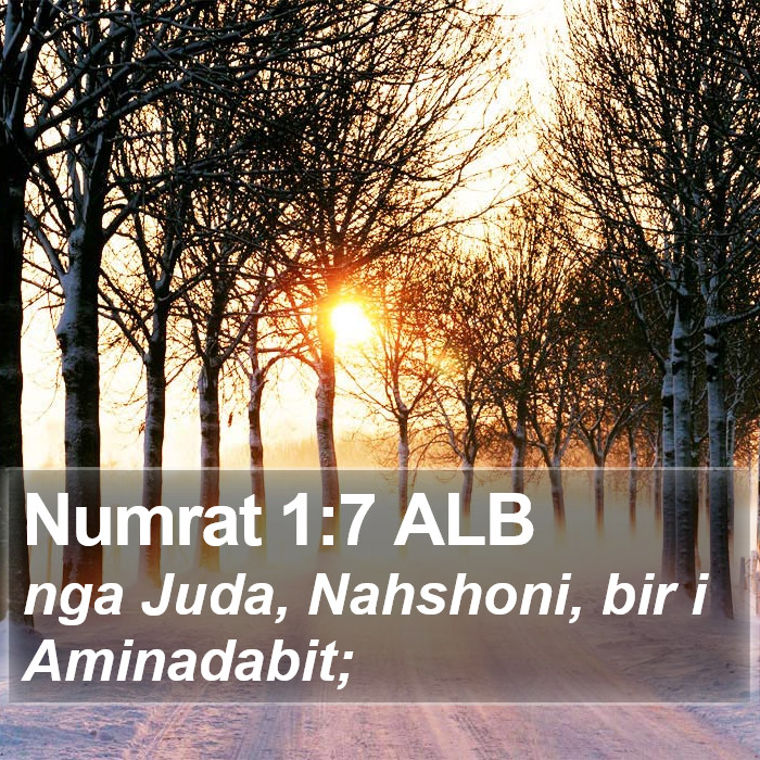 Numrat 1:7 ALB Bible Study