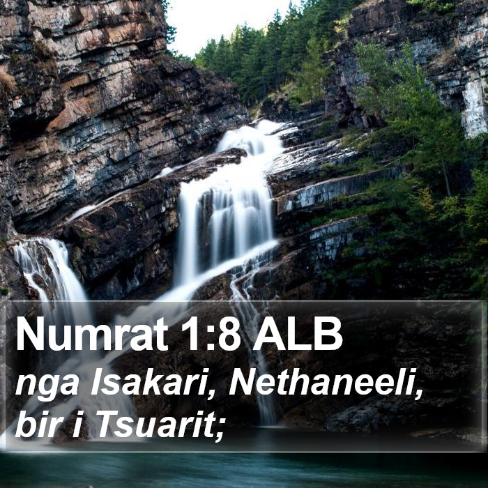 Numrat 1:8 ALB Bible Study