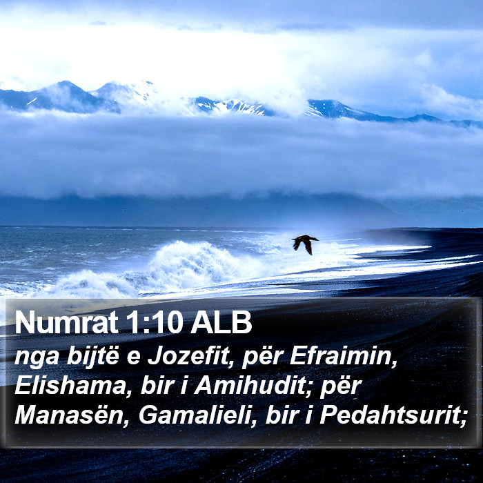 Numrat 1:10 ALB Bible Study