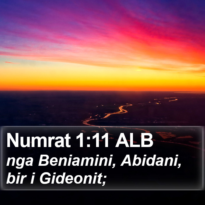 Numrat 1:11 ALB Bible Study