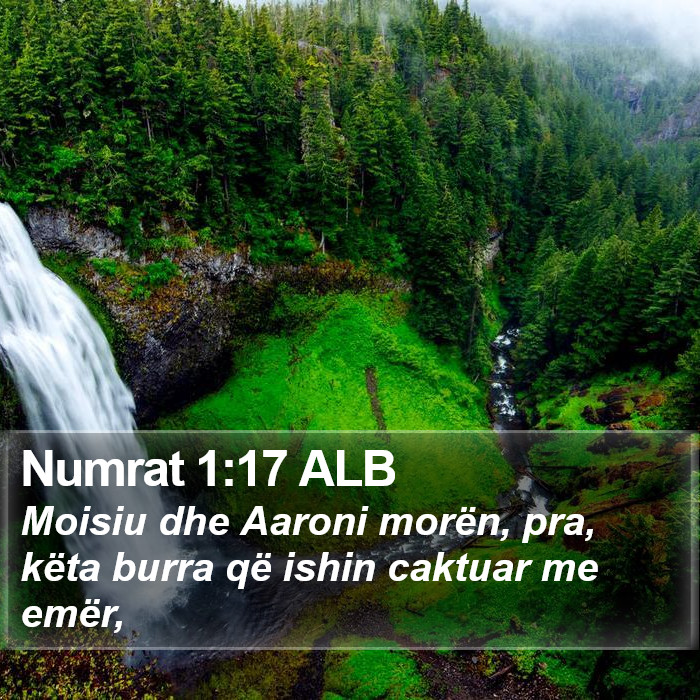 Numrat 1:17 ALB Bible Study