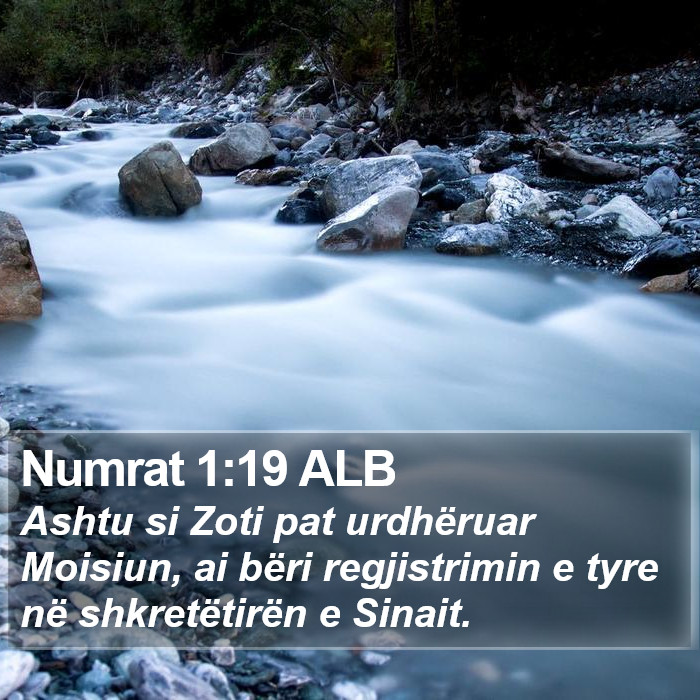 Numrat 1:19 ALB Bible Study