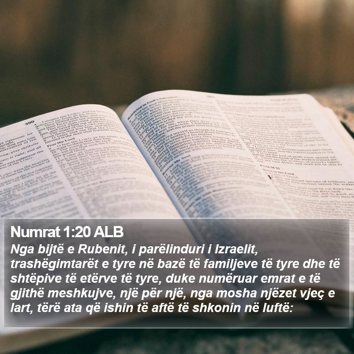 Numrat 1:20 ALB Bible Study