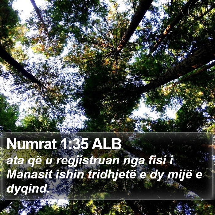 Numrat 1:35 ALB Bible Study