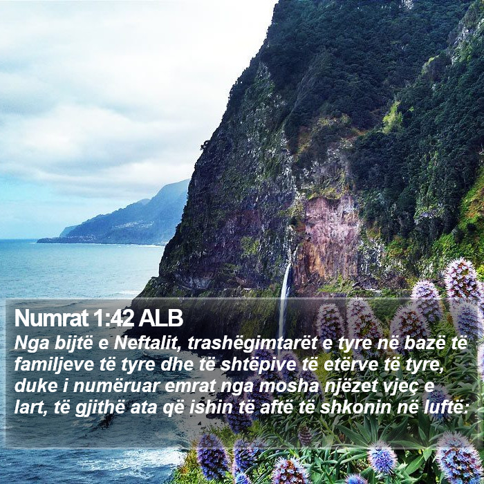 Numrat 1:42 ALB Bible Study