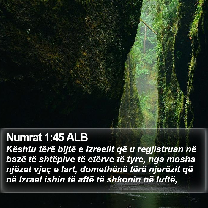 Numrat 1:45 ALB Bible Study