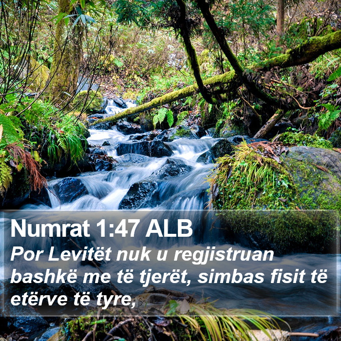 Numrat 1:47 ALB Bible Study