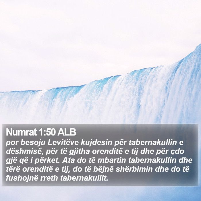 Numrat 1:50 ALB Bible Study