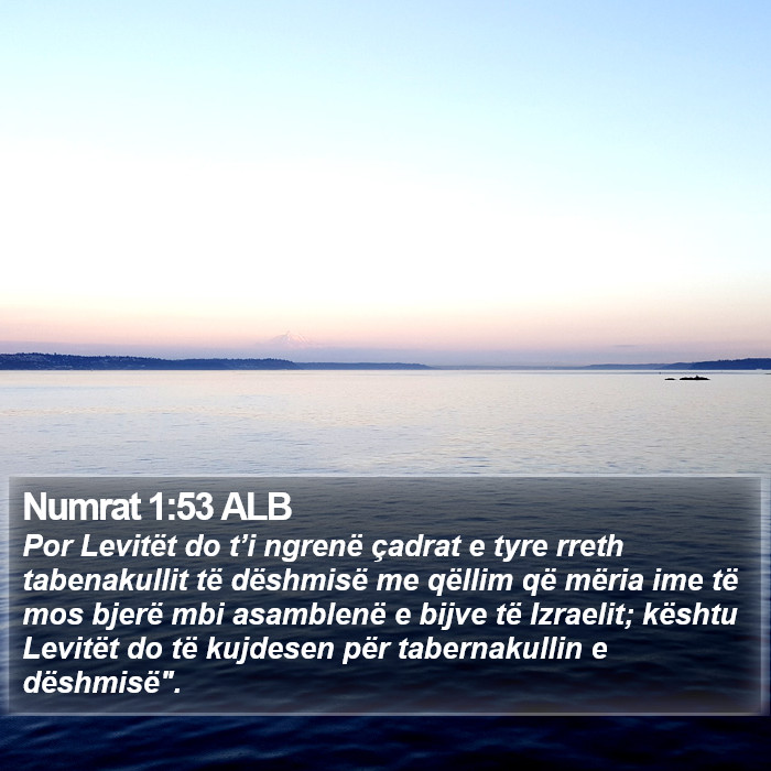 Numrat 1:53 ALB Bible Study