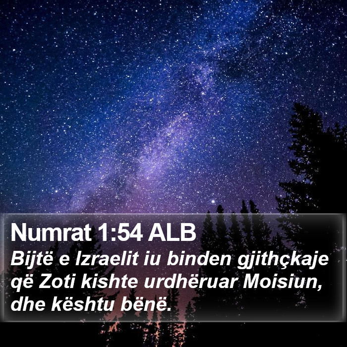 Numrat 1:54 ALB Bible Study