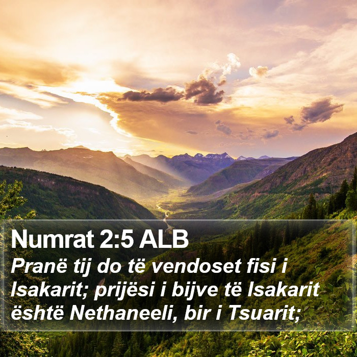 Numrat 2:5 ALB Bible Study