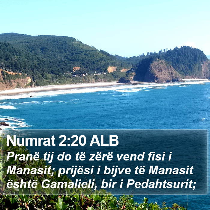 Numrat 2:20 ALB Bible Study