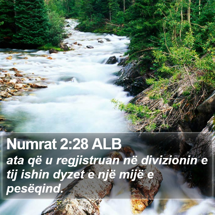 Numrat 2:28 ALB Bible Study
