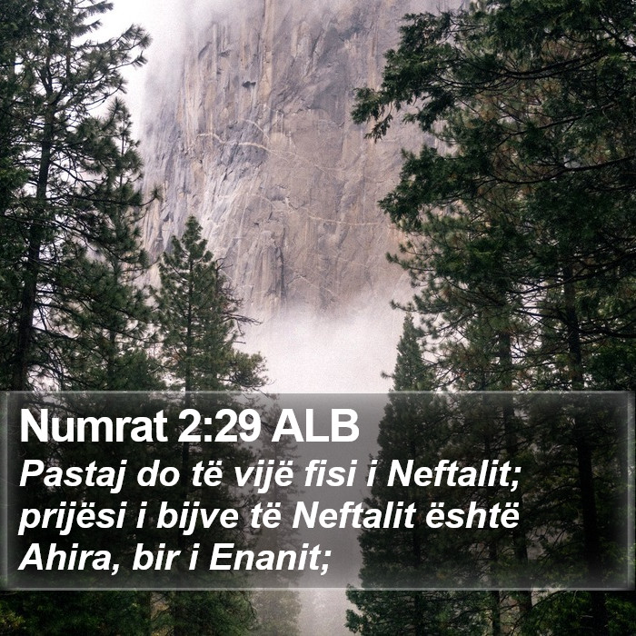 Numrat 2:29 ALB Bible Study