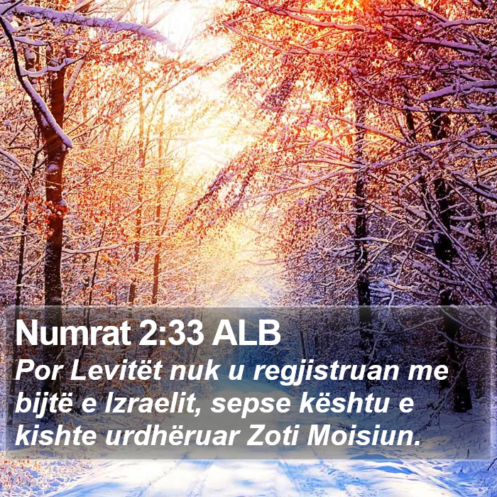 Numrat 2:33 ALB Bible Study