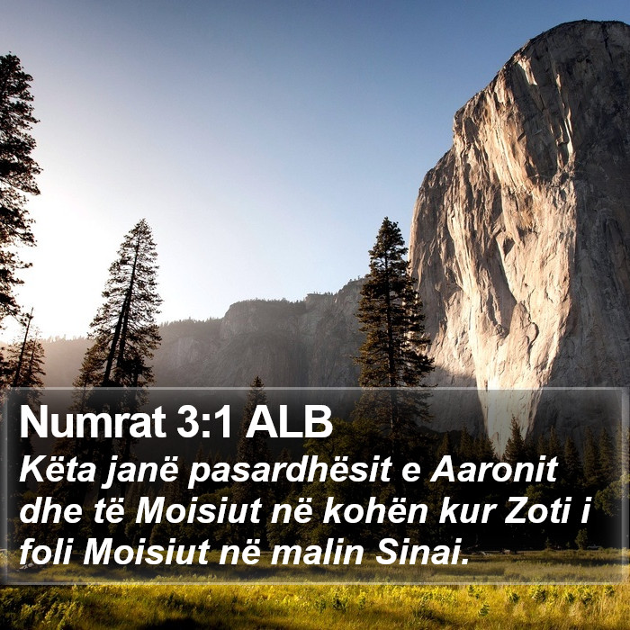 Numrat 3:1 ALB Bible Study