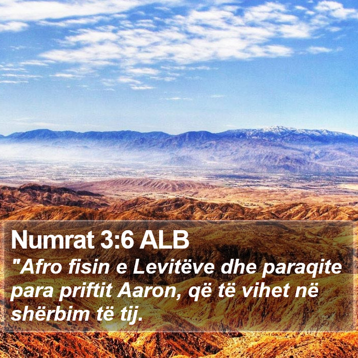 Numrat 3:6 ALB Bible Study